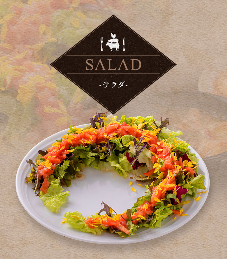 SALADA ～サラダ～